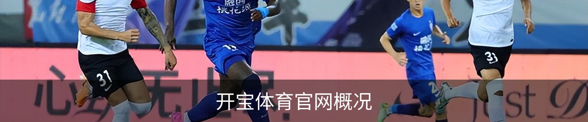开宝体育官网概况